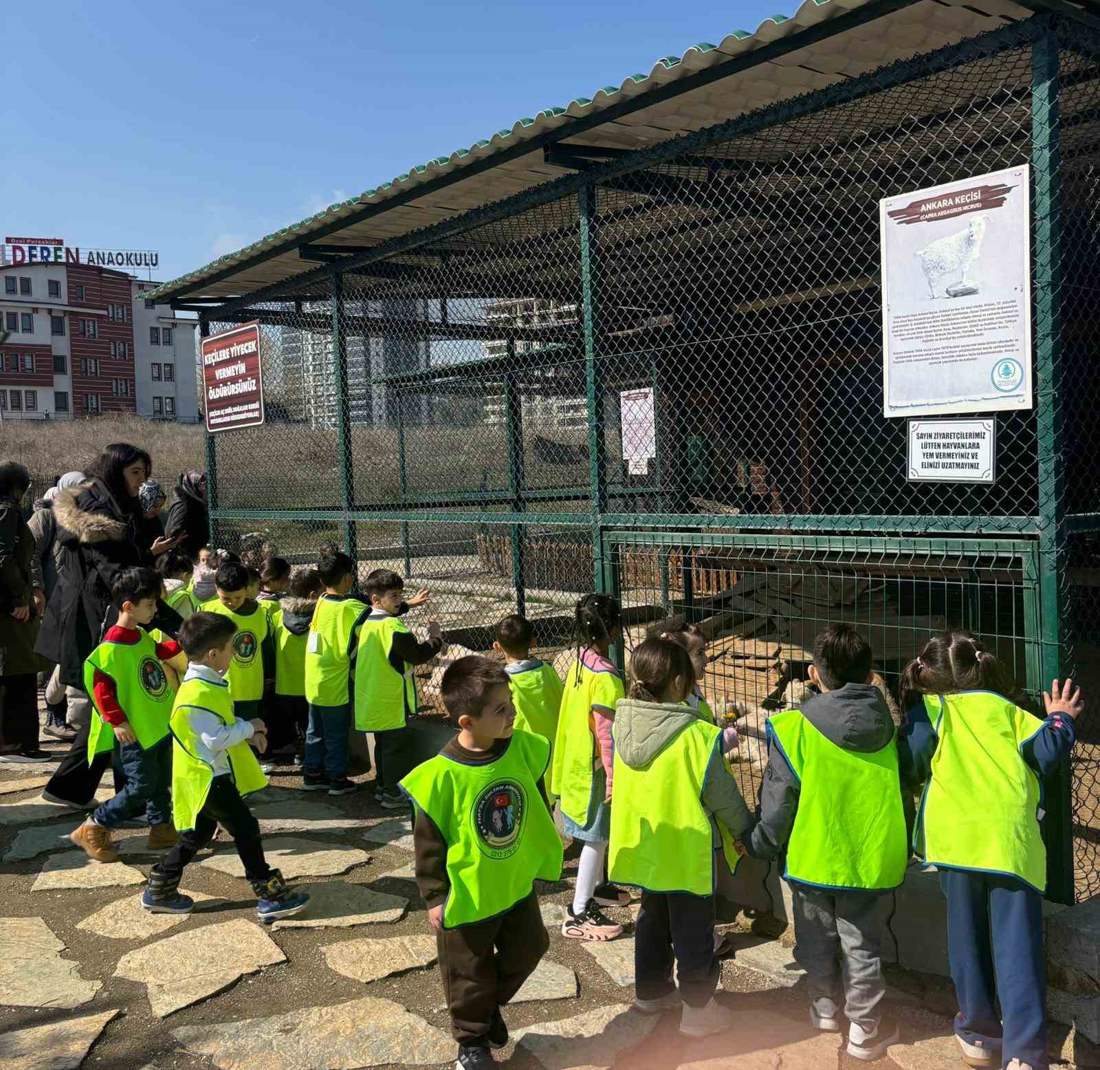 Minikler için doğada eğlence ve eğitim bir arada