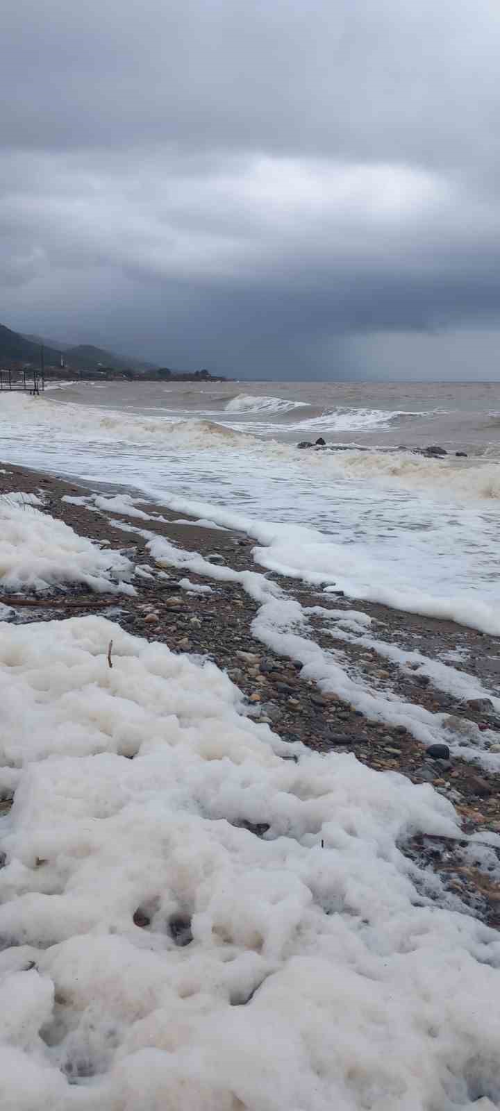 Ayvacık&rsquo;ta deniz k&ouml;p&uuml;rd&uuml;
