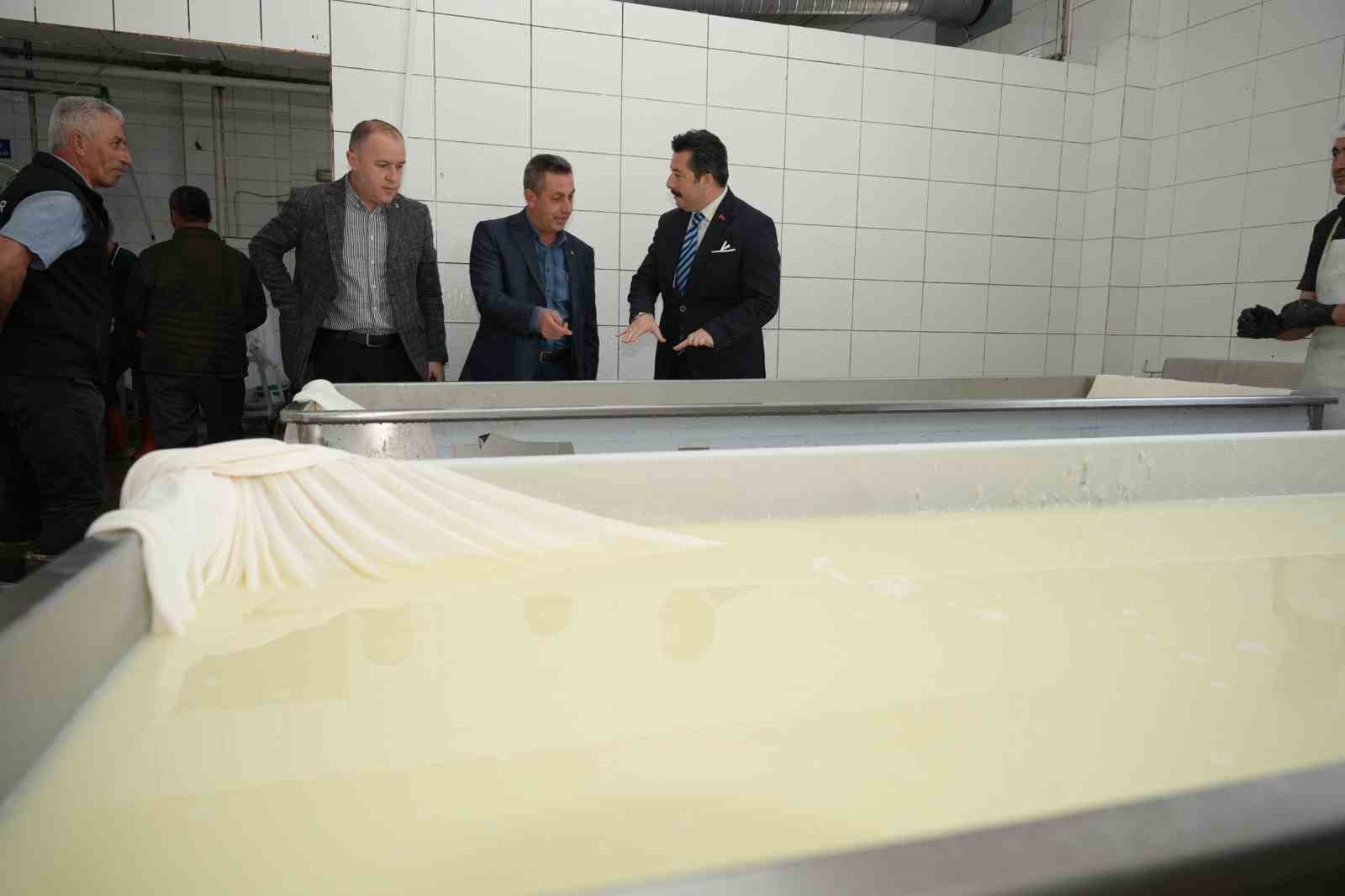 Her gün 3,5 ton sütten 12 çeşit peynir üretiyorlar