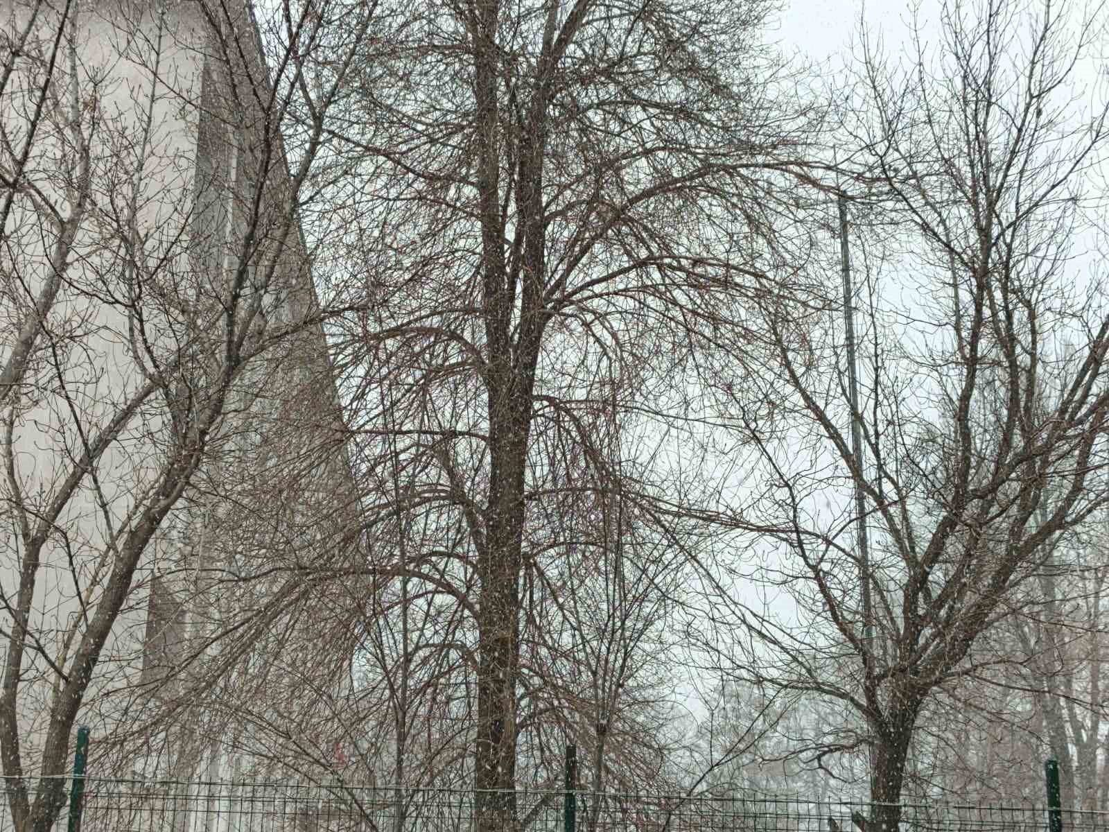 Bahar gelmeden kış geri döndü; Diyadin’e kar sürprizi