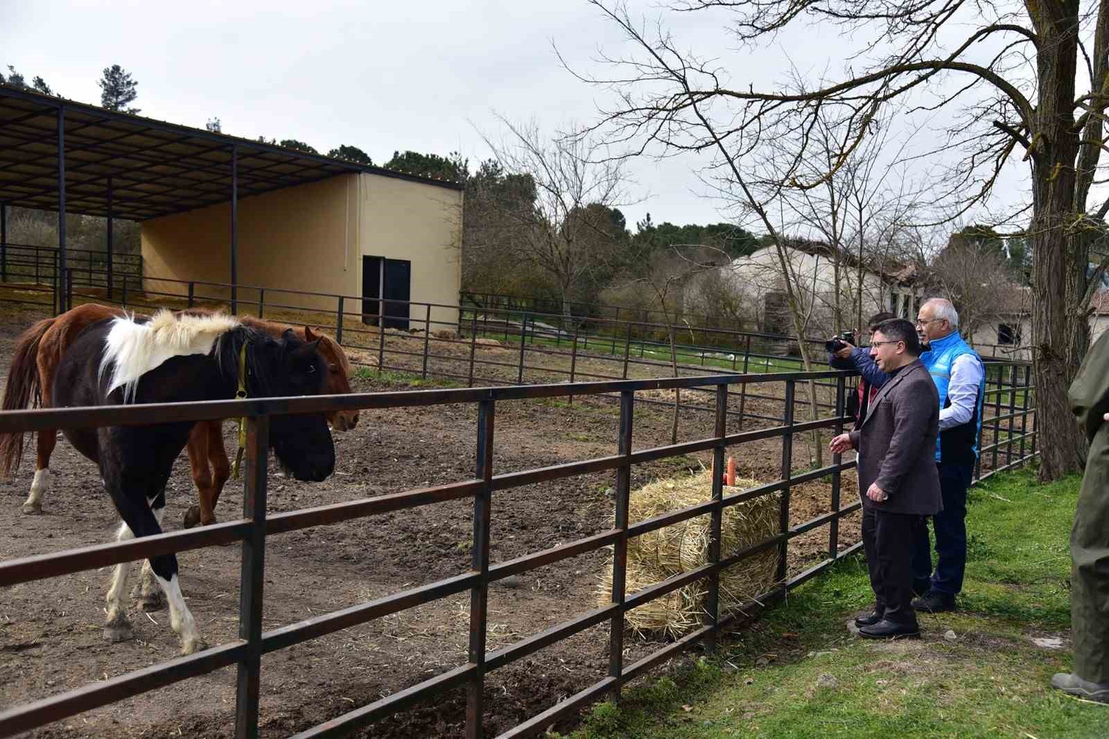 İlk t&uuml;p tay Balat 2 yaşında
