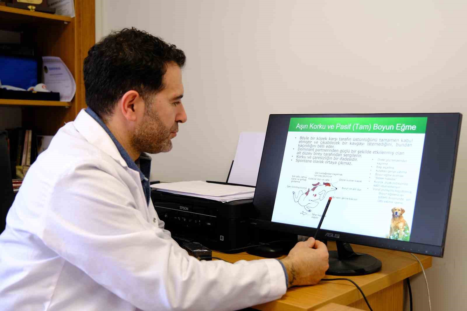 Prof. Dr. Ko&ccedil;kaya: "Sokak hayvanlarına karşı sorumluluklarımız var"
