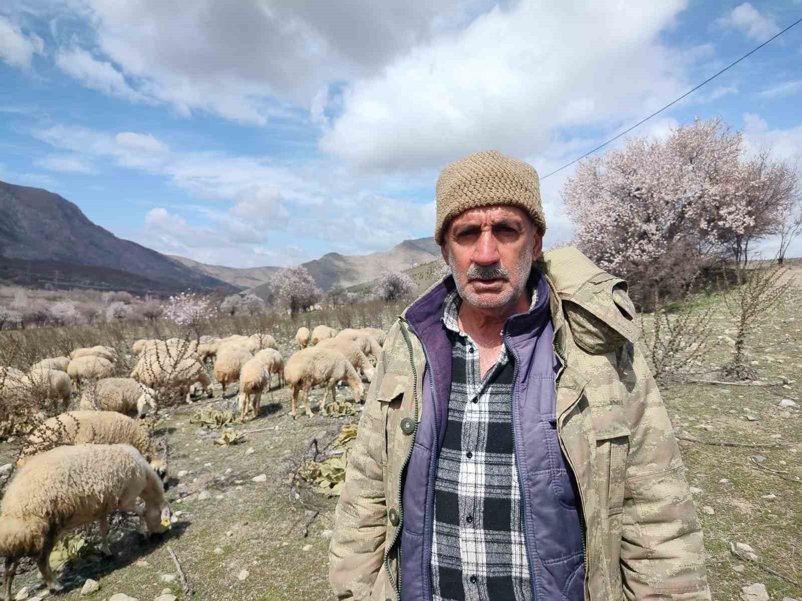 Otomobil koyun s&uuml;r&uuml;s&uuml;ne daldı: 9 koyun telef oldu
