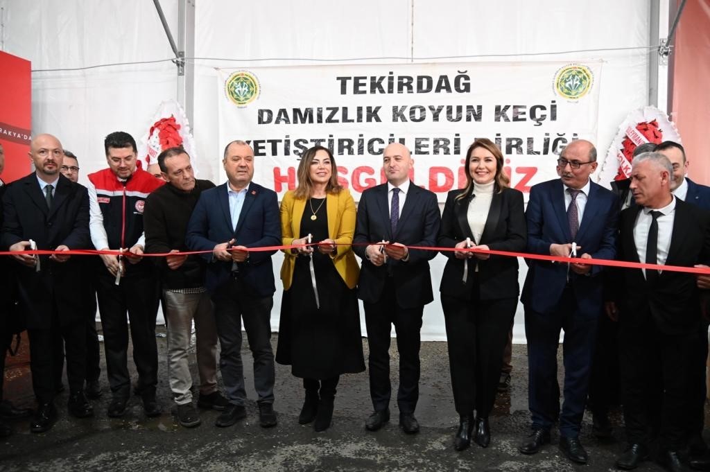 Tekirdağ&rsquo;da k&uuml;&ccedil;&uuml;kbaş hayvancılık festivali
