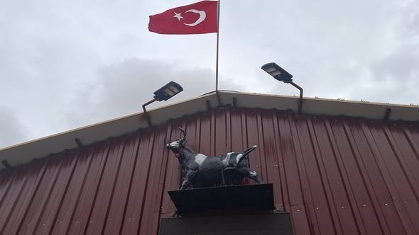 Heykeli gerçek sanıp kaçtı: Tosunun şaşkınlığı sosyal medyada gündem oldu