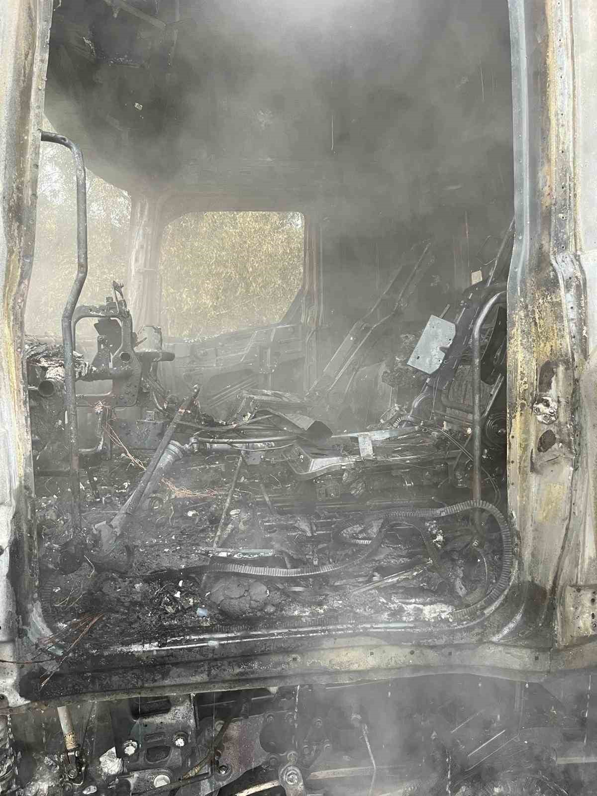 Tomruk yüklü tır alev topuna döndü