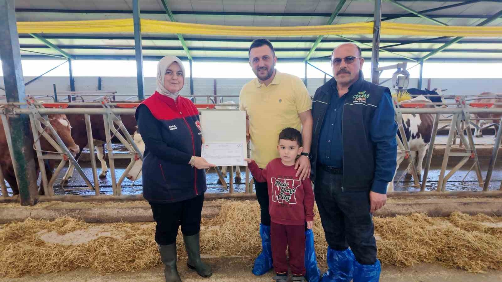 D&uuml;zce&rsquo;de ari işletme sayısı artıyor
