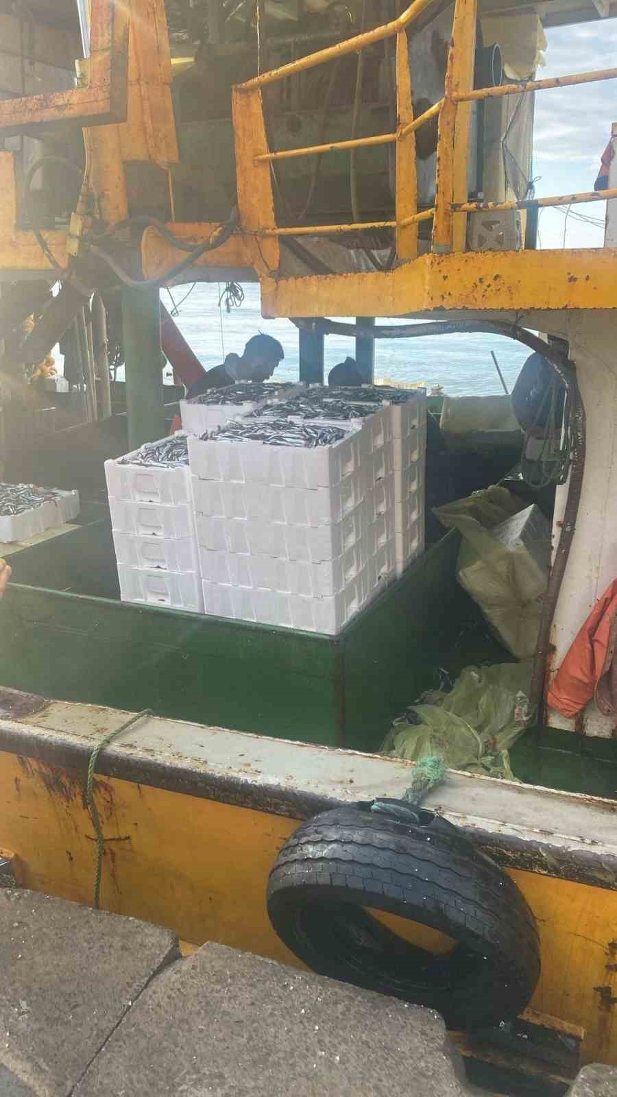 Hamsi kotası i&ccedil;in Didim&rsquo;de denetim yapıldı
