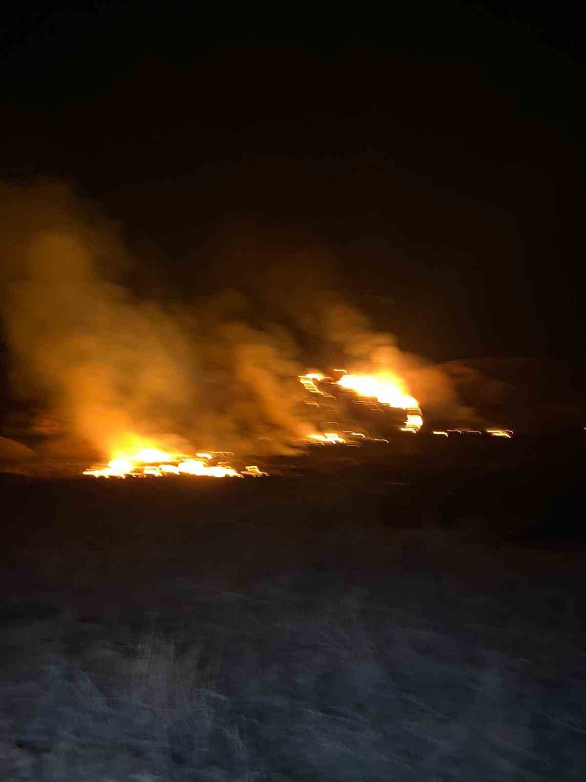 Van’da sazlık alanda yangın çıktı