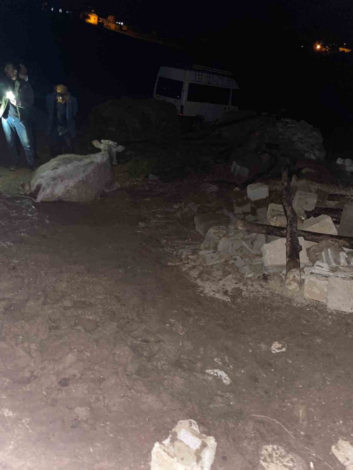 Van&rsquo;da ahır &ccedil;&ouml;kt&uuml;: 56 k&uuml;&ccedil;&uuml;kbaş hayvan telef oldu
