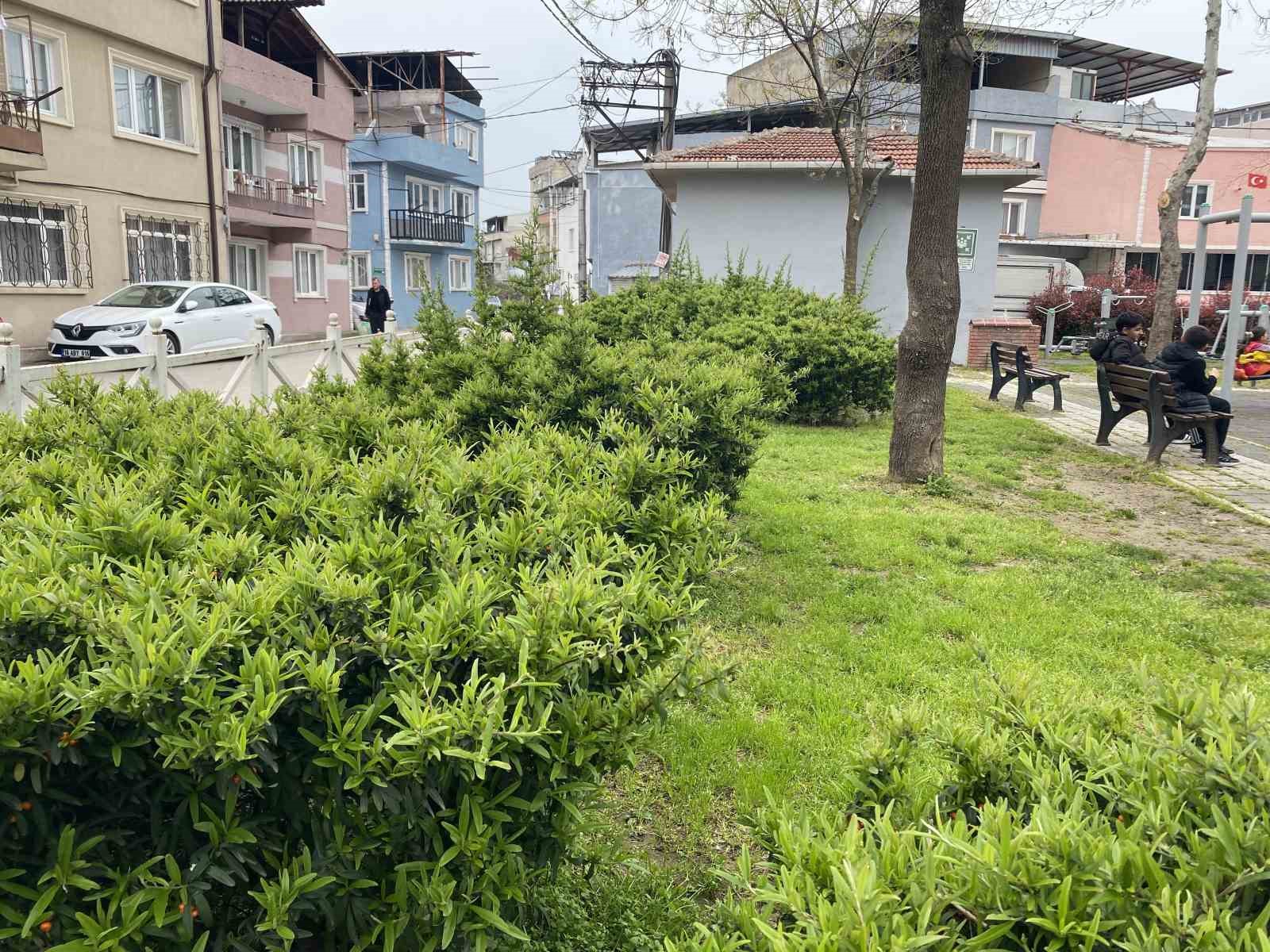 Bursa&rsquo;da parkta toplanan bitki az kalsın faciaya yol a&ccedil;ıyordu
