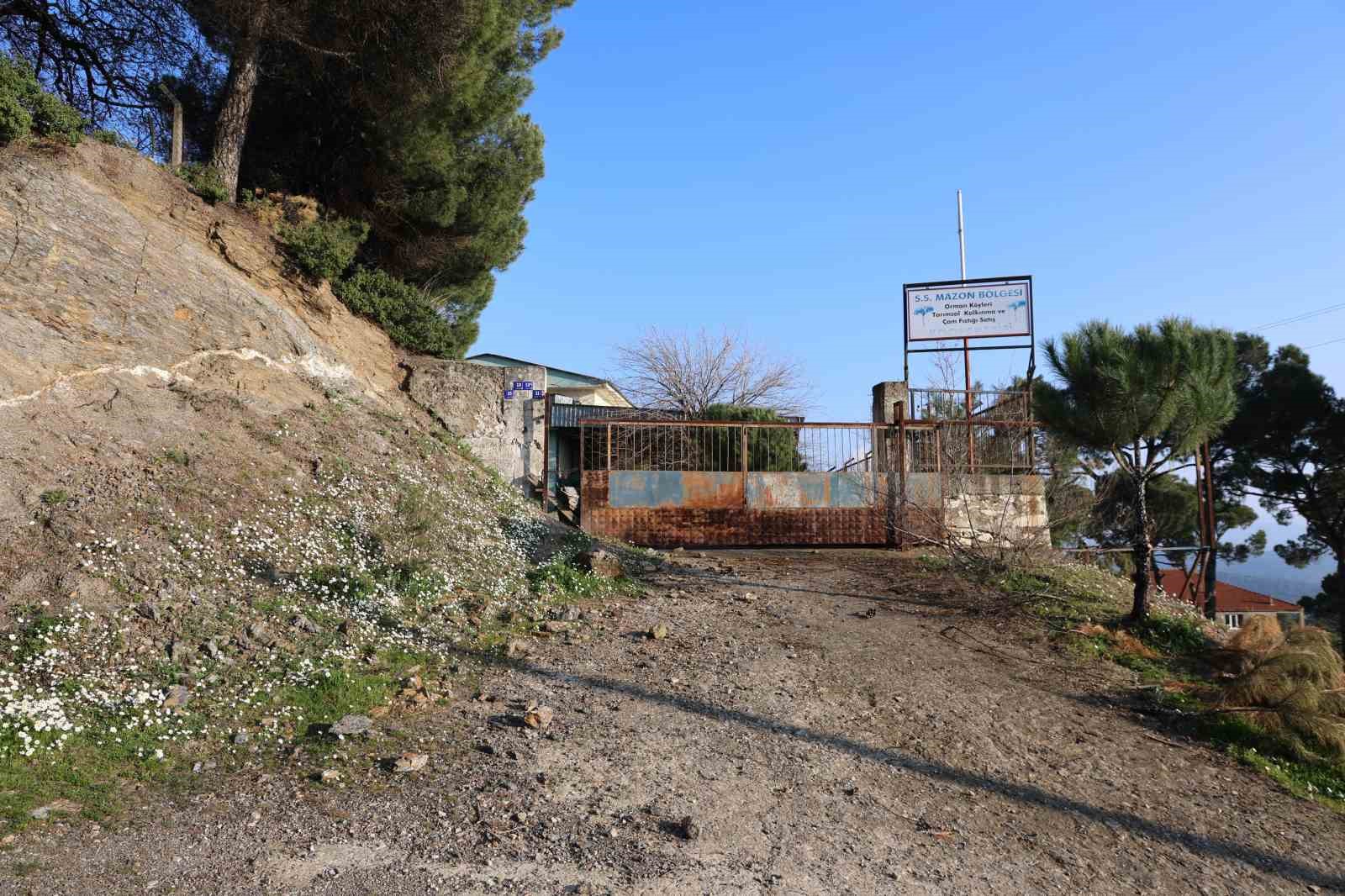 &Uuml;reticilere umut olacaktı, şimdi &ccedil;&uuml;r&uuml;meye terk edildi
