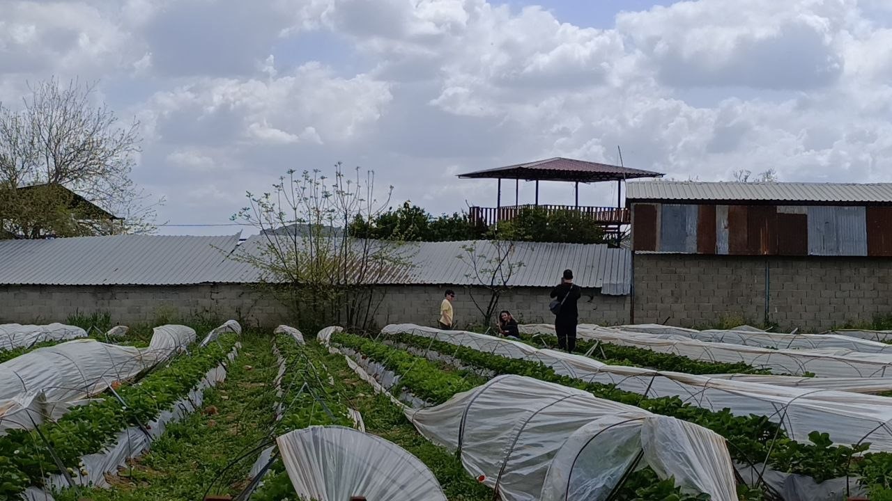 Hasadı &ccedil;ift&ccedil;i değil, vatandaş yaptı
