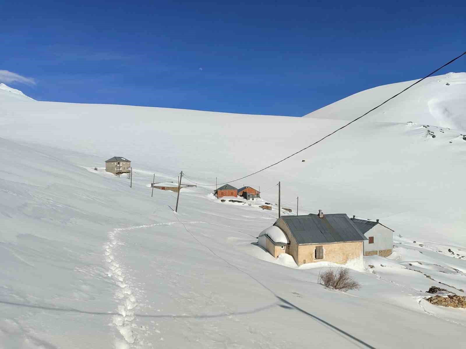 Bayburt’ta ayı saldırılarının yaşandığı yaylada ulaşım sorunu sürüyor