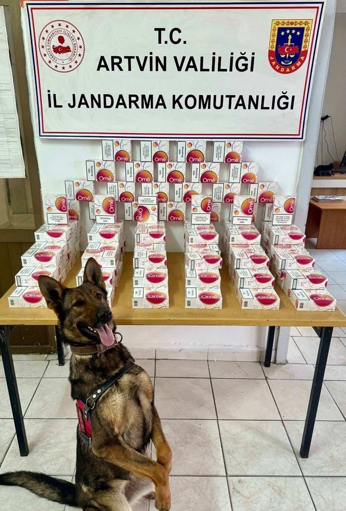 Artvin&rsquo;de ka&ccedil;ak&ccedil;ılıkla m&uuml;cadelede 9 bin 690 paket sigara ele ge&ccedil;irildi
