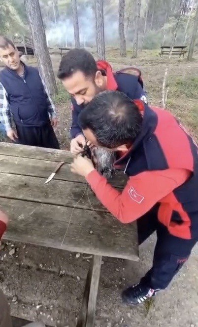 Osmaniye&rsquo;de ağaca takılan kargayı itfaiye kurtardı
