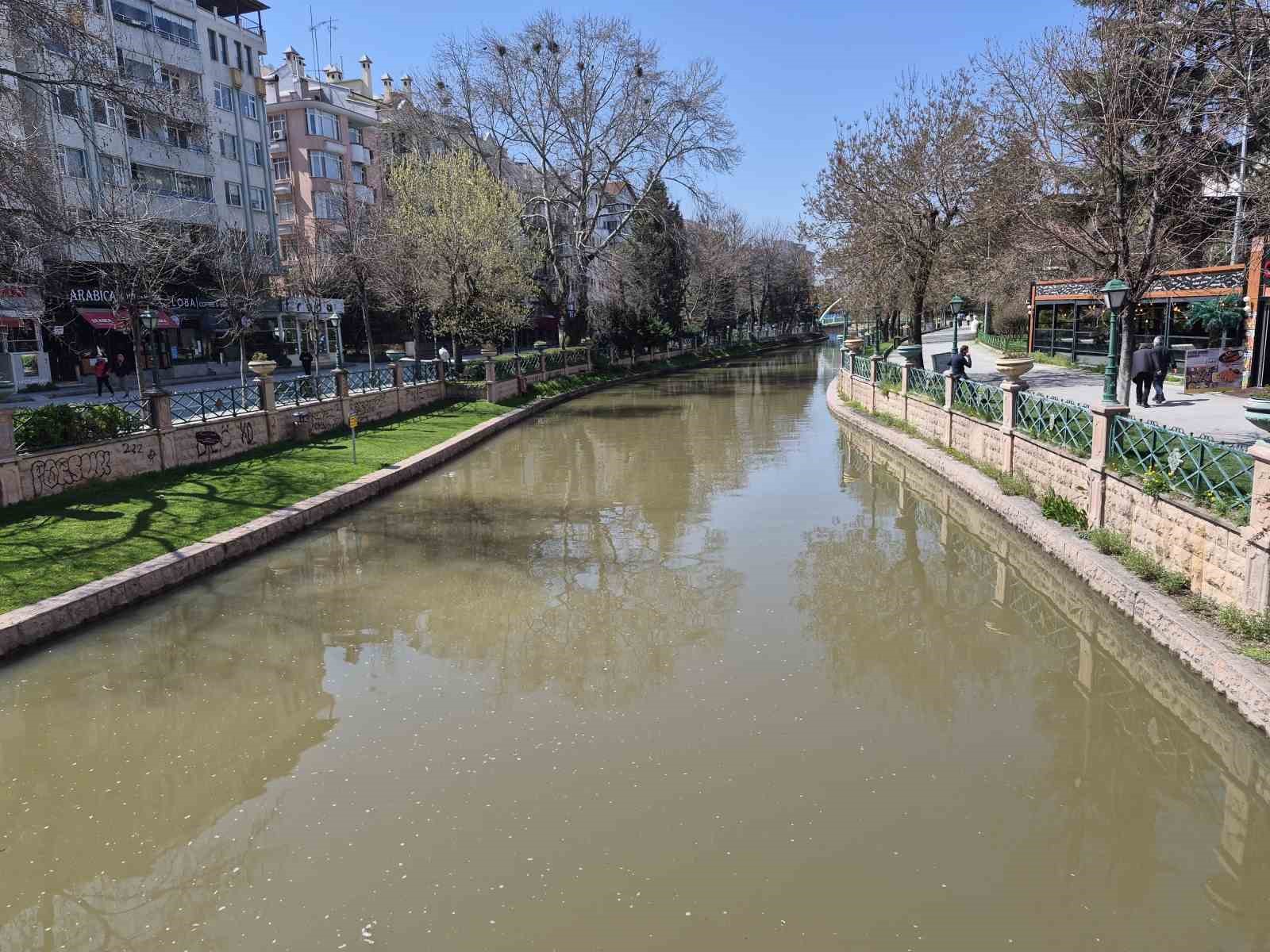 Porsuk &Ccedil;ayı kahverengine b&uuml;r&uuml;nd&uuml;
