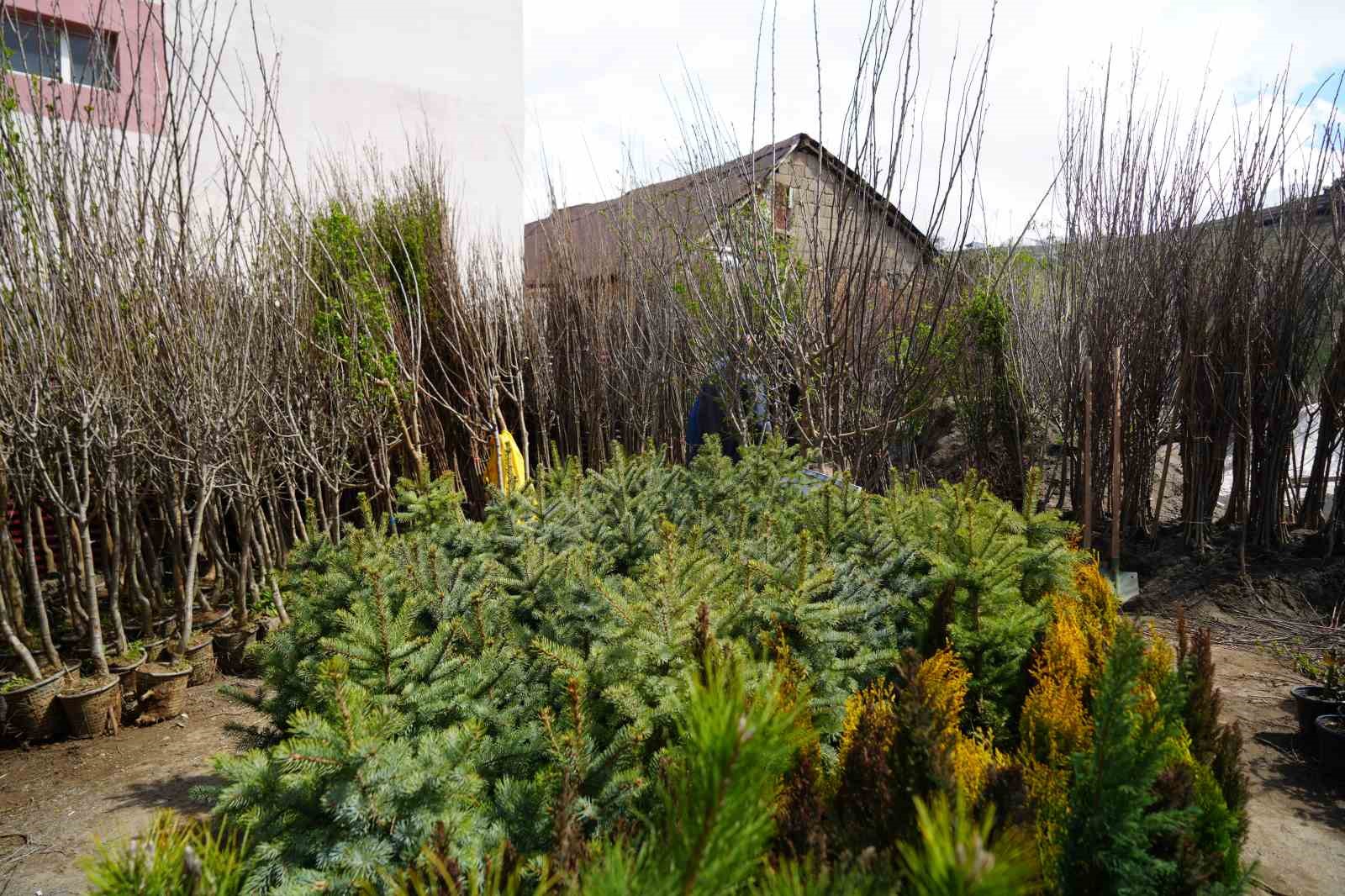 Muş&rsquo;ta meyve fidanları satışa &ccedil;ıkarıldı
