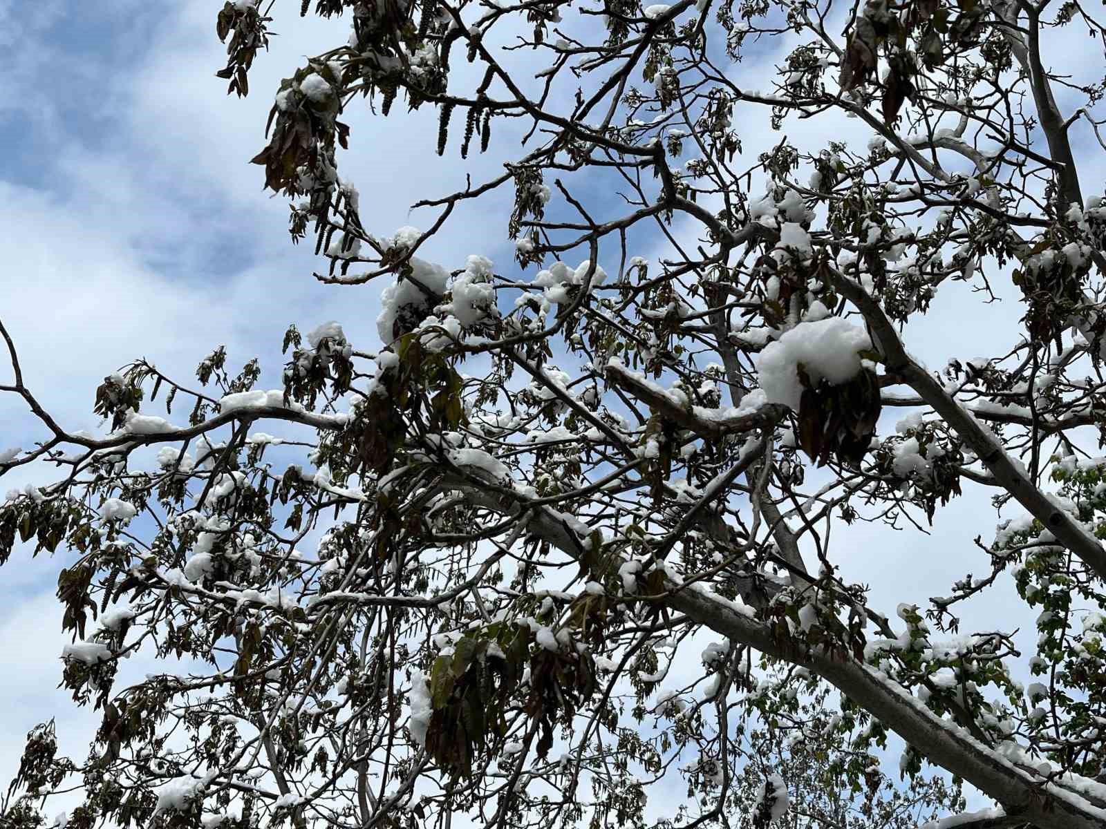 Çorum için zirai don uyarısı