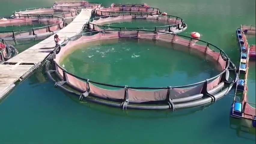 Erzurum&rsquo;da 3,38 milyar destekle 5 bin 226 kişilik istihdam oluştu
