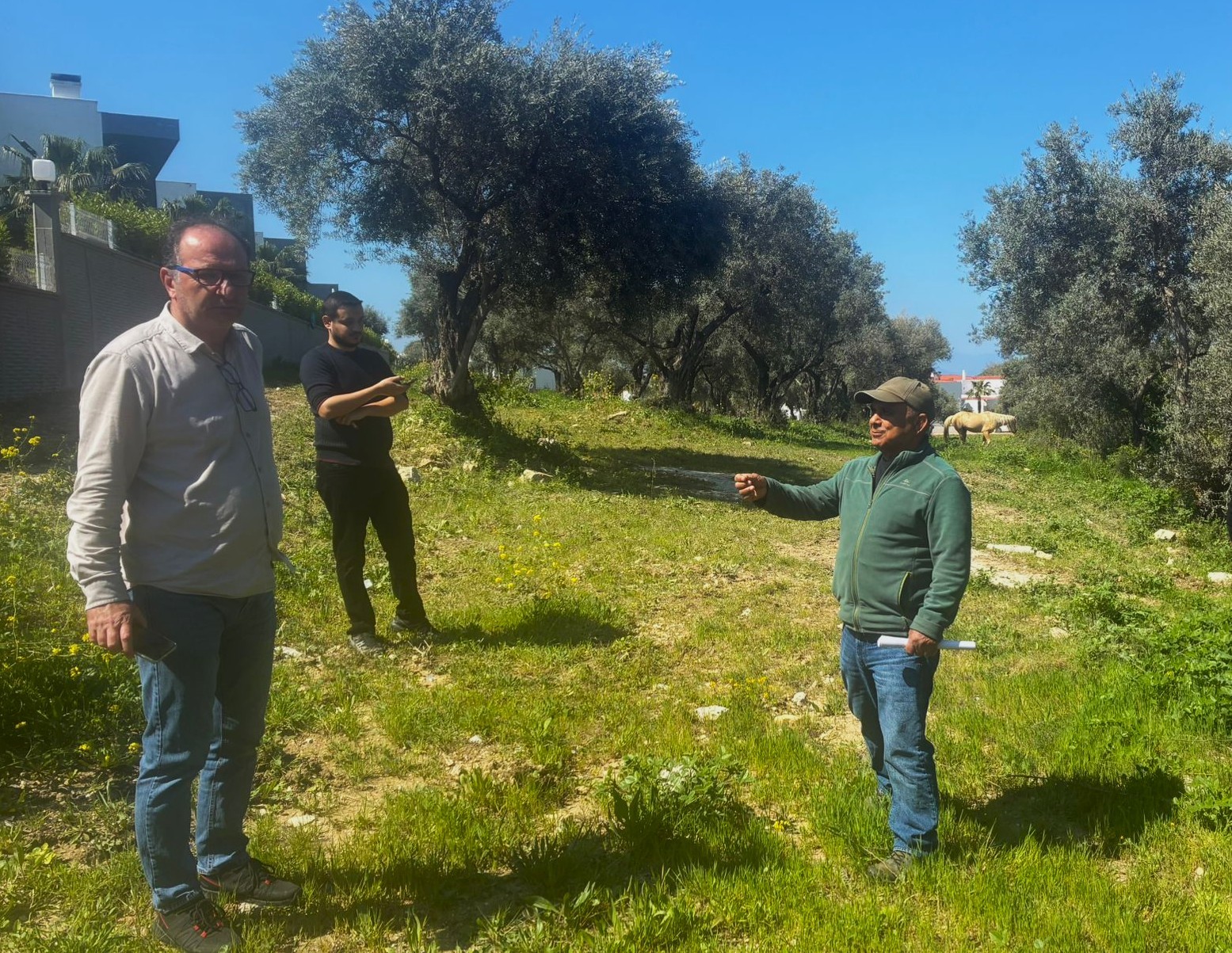 Endemik T&uuml;l&uuml;şah i&ccedil;in inceleme yaptılar
