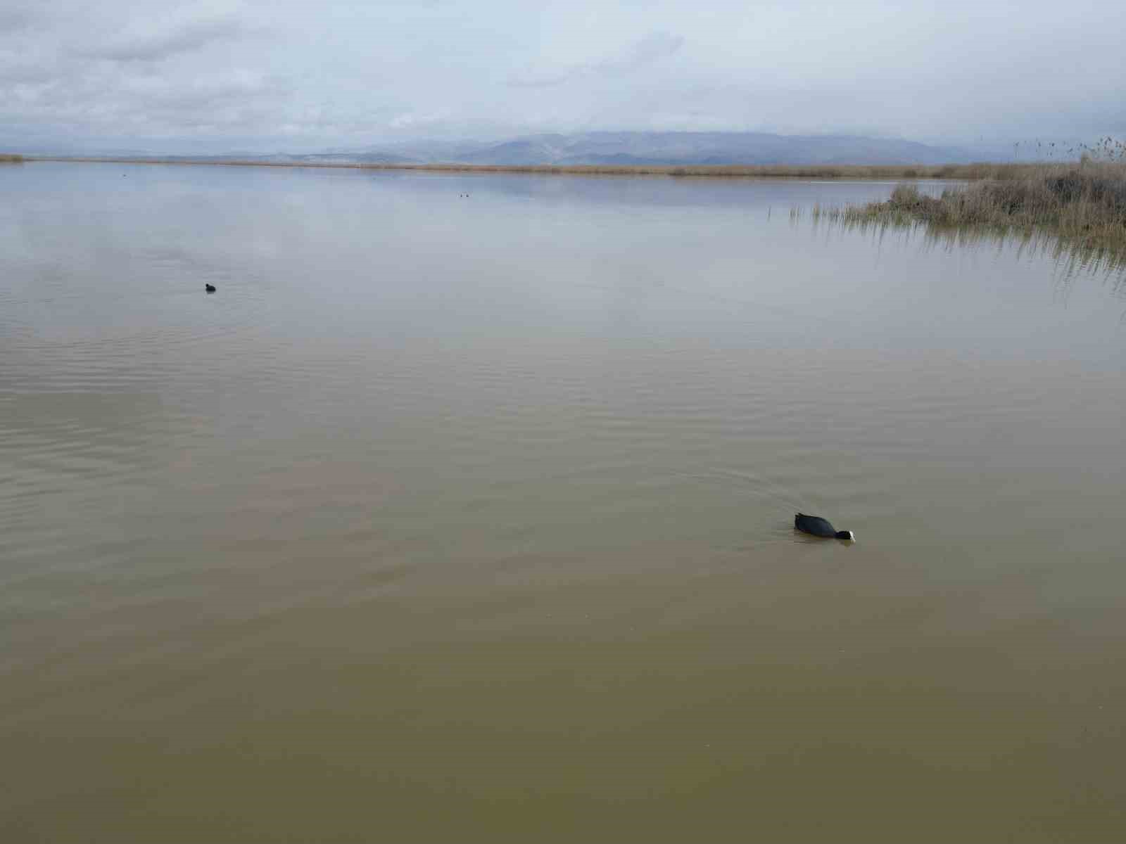 Eber G&ouml;l&uuml;&rsquo;nde su seviyesi g&ouml;zle g&ouml;r&uuml;l&uuml;r şekilde arttı
