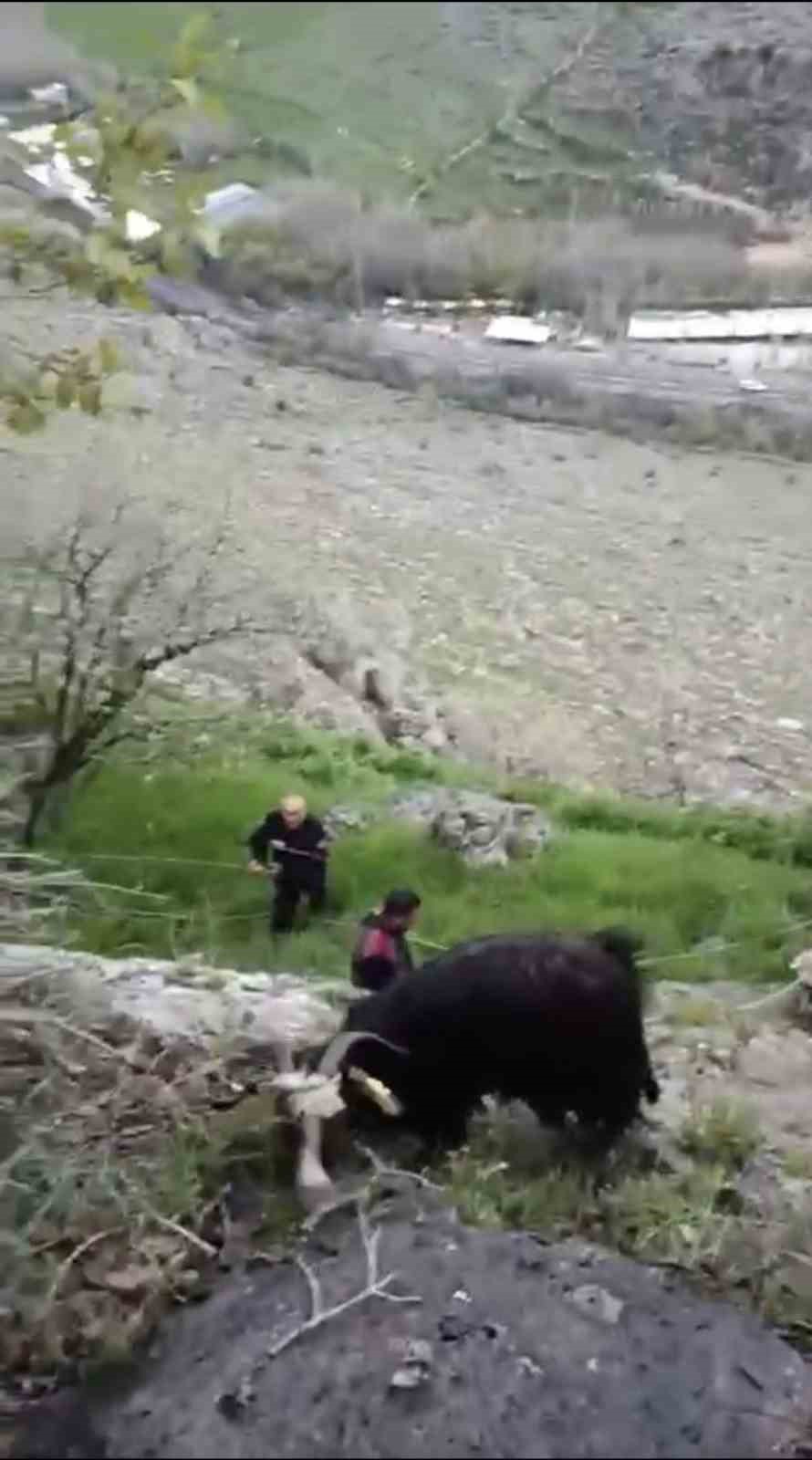 Mardin&rsquo;de mahsur kalan ke&ccedil;ileri itfaiye kurtardı
