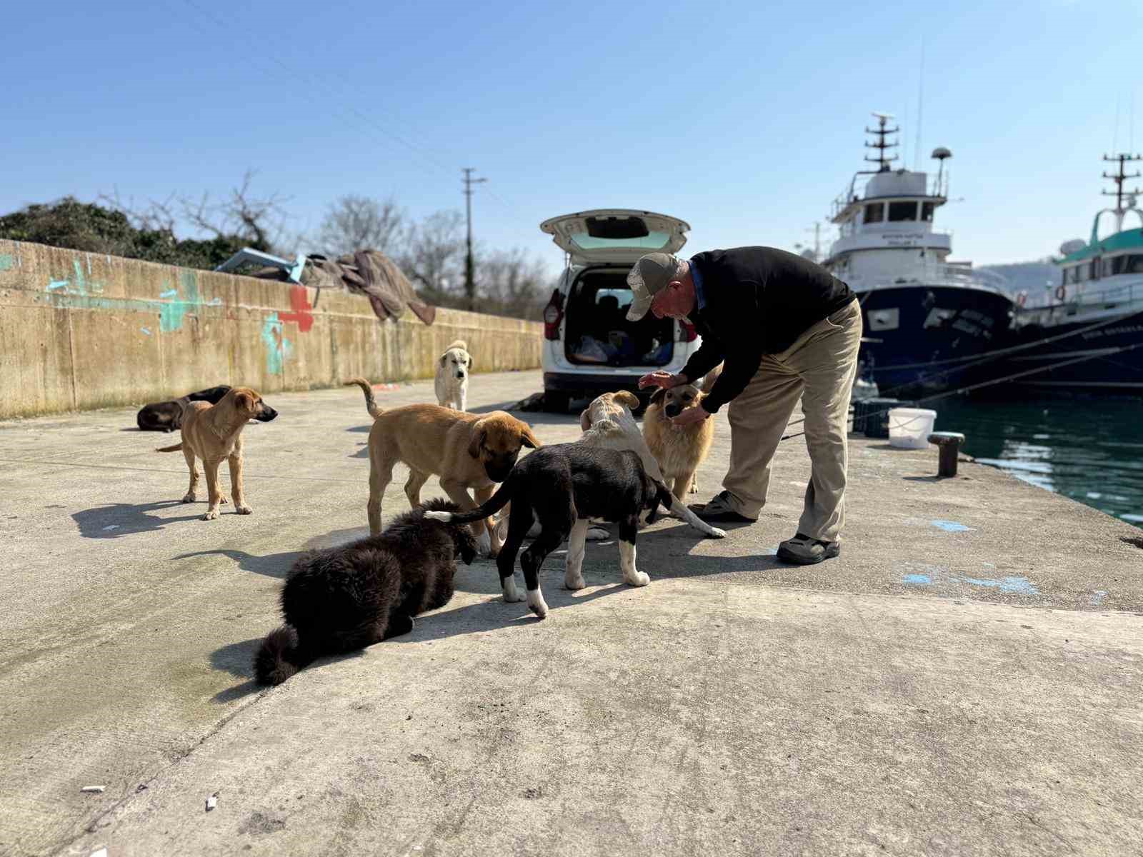 Olta tutkunu vatandaştan sokak k&ouml;peklerine şefkat
