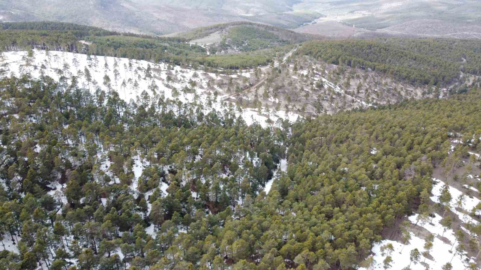 Yozgat&rsquo;ın y&uuml;kseklerinde kış ve bahar bir arada yaşanıyor
