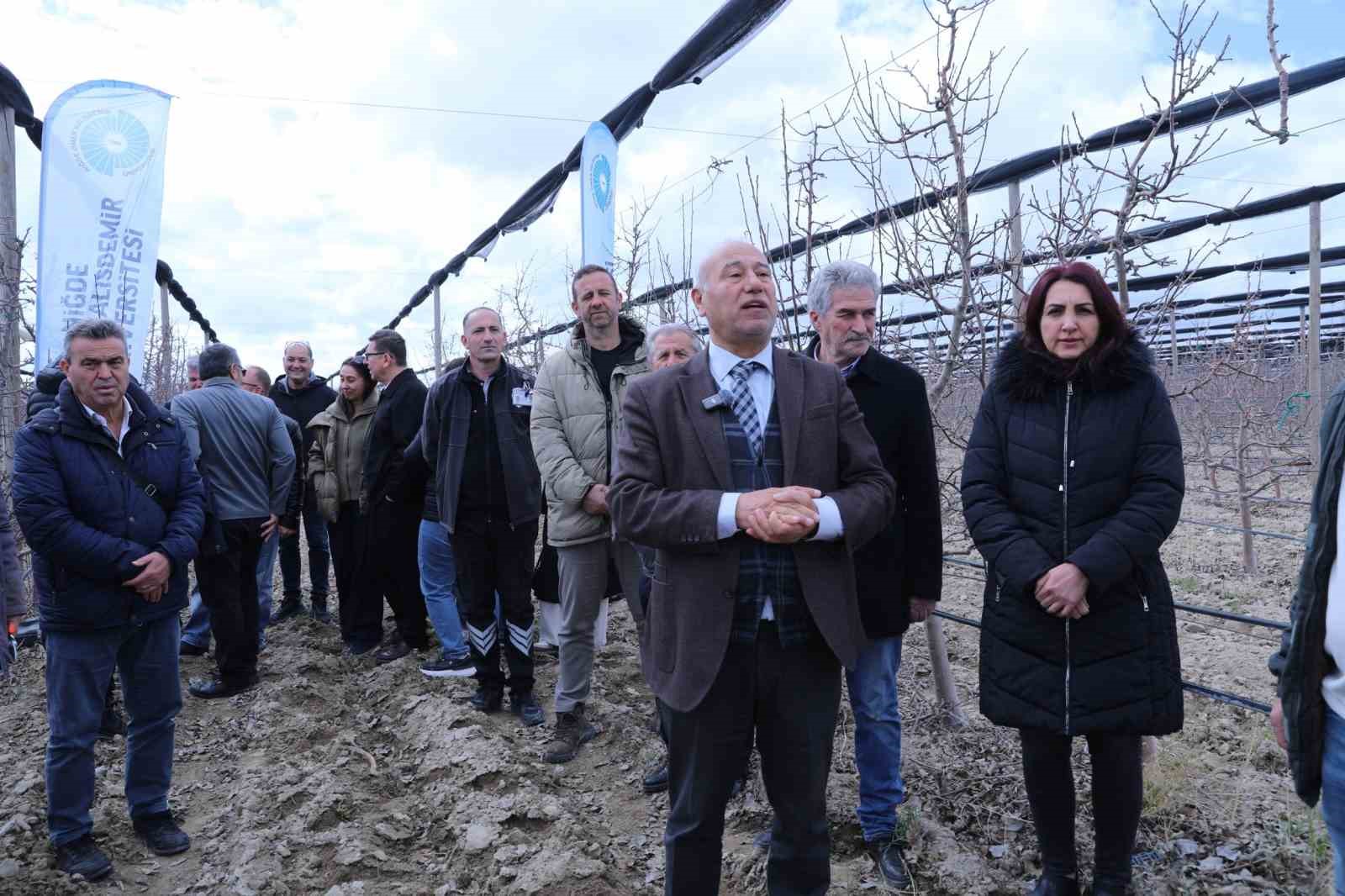 Meyve ağa&ccedil;larında doğru budama y&ouml;ntemleri &ouml;ğretildi
