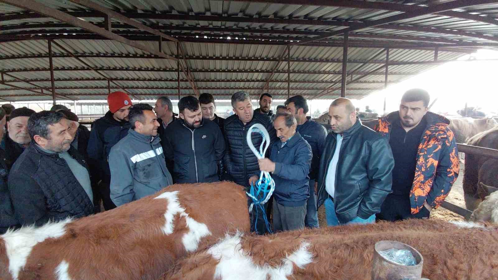 Bolu&rsquo;da kurban pazarlarında hareketlilik başladı
