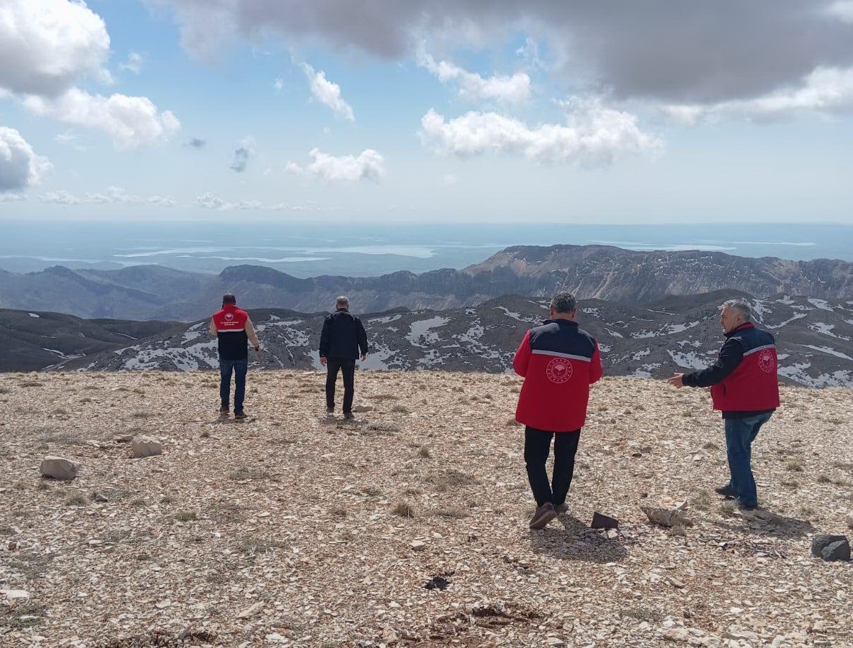 S&uuml;ne m&uuml;cadelesi i&ccedil;in ilkbahar kışlak s&uuml;rveyleri yapıldı
