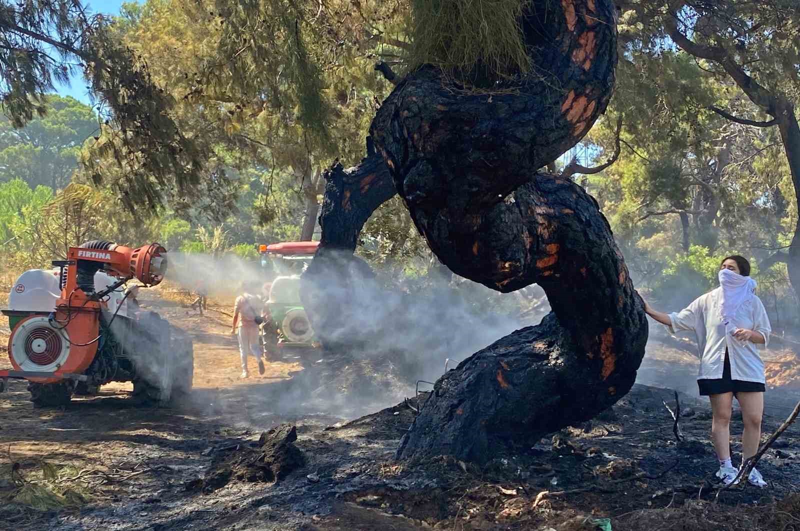 Antalya&rsquo;da yılın serbest fotoğraf &ouml;d&uuml;l&uuml; İHA&rsquo;ya
