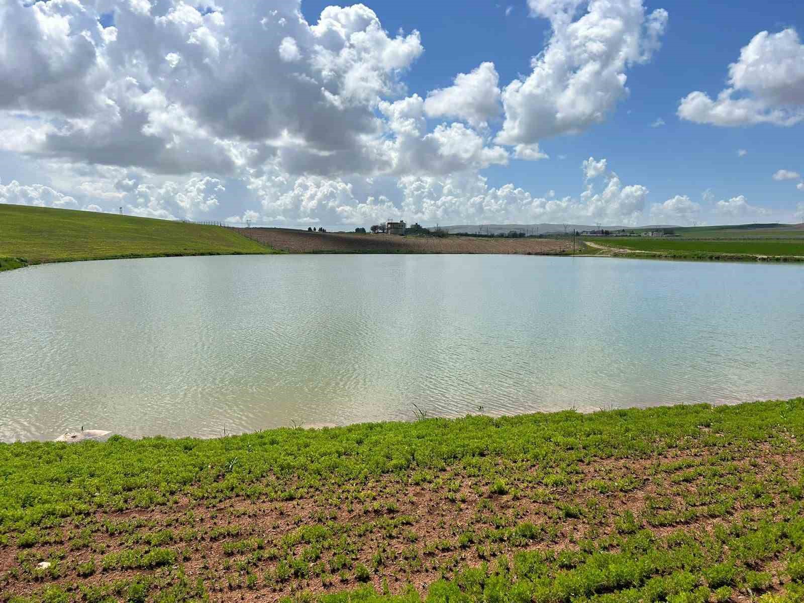 Kuraklıkla kuruma noktasına gelen gölet yağışlarla yeniden canlandı
