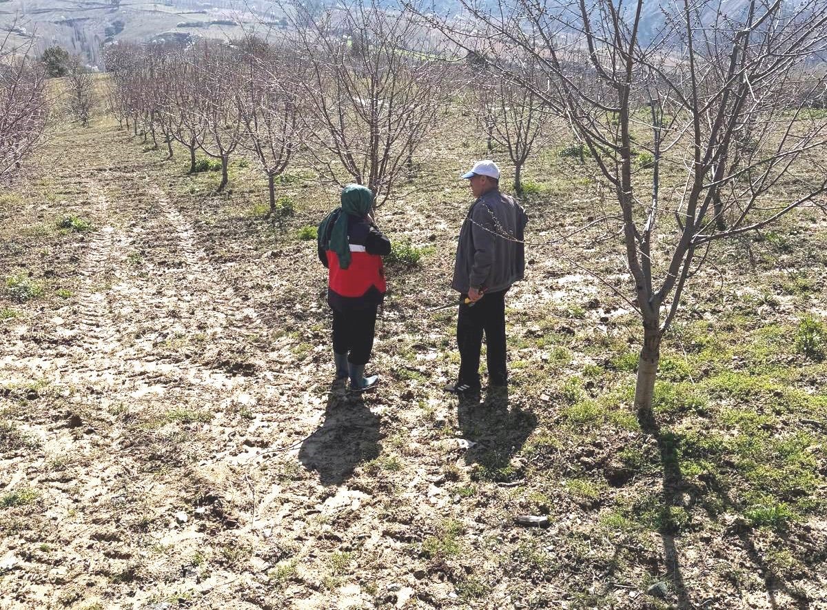 Simav’da üreticilere zirai don uyarısı