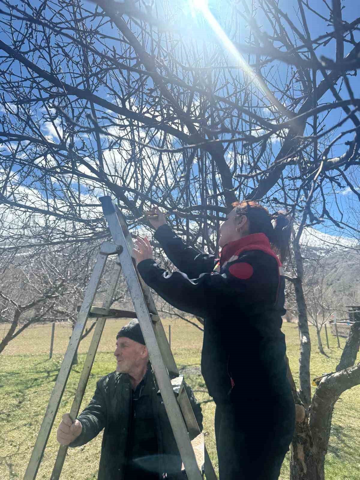 Aydıntepe&rsquo;de meyve bah&ccedil;elerinde budama uygulaması s&uuml;r&uuml;yor
