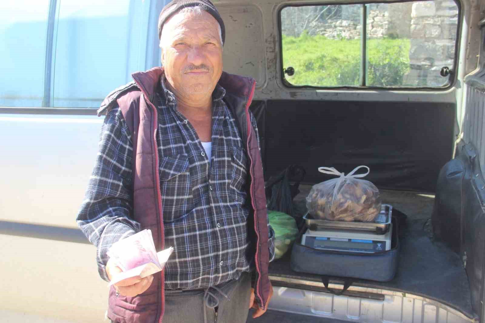 Çanakkale’de dağ köylerinde kuzugöbeği gelir kapısı oldu