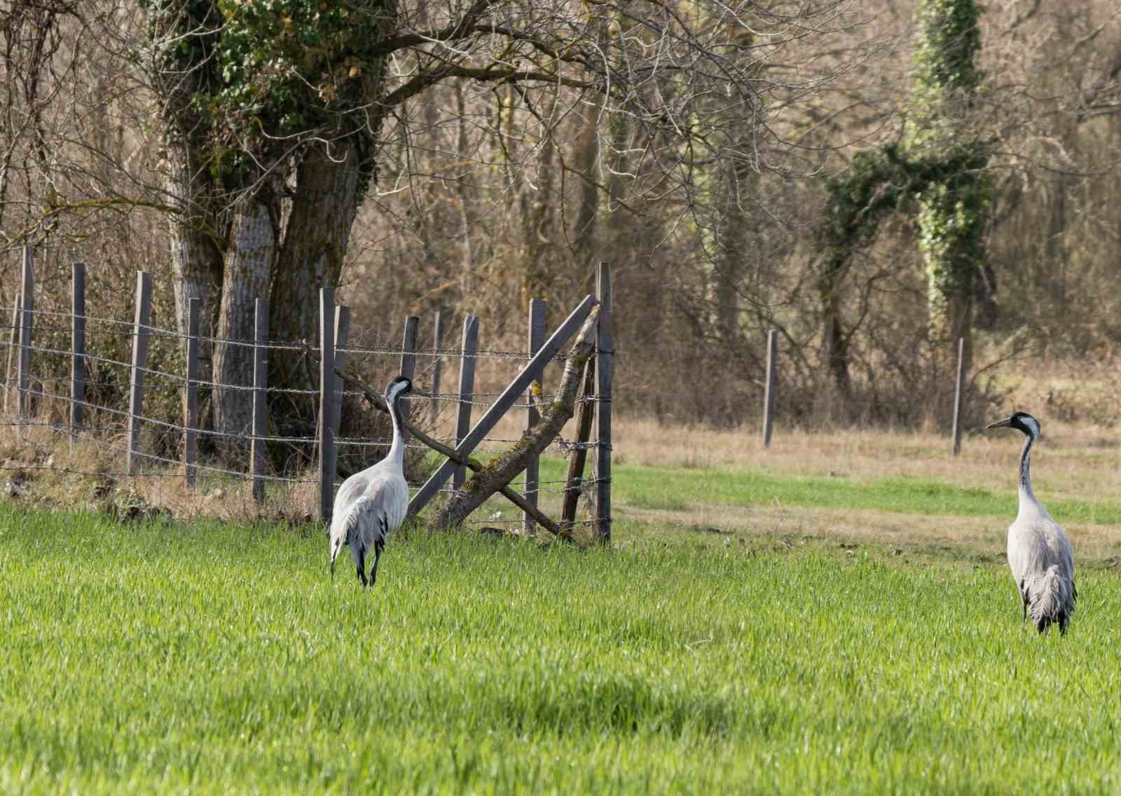 Turnaların izinde: 2026 izleme &ccedil;alışmaları s&uuml;r&uuml;yor
