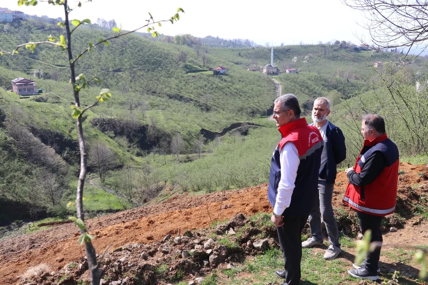 Teraslı fındık bah&ccedil;eleri verimi artırdı, &uuml;retici memnuniyeti y&uuml;kseldi

