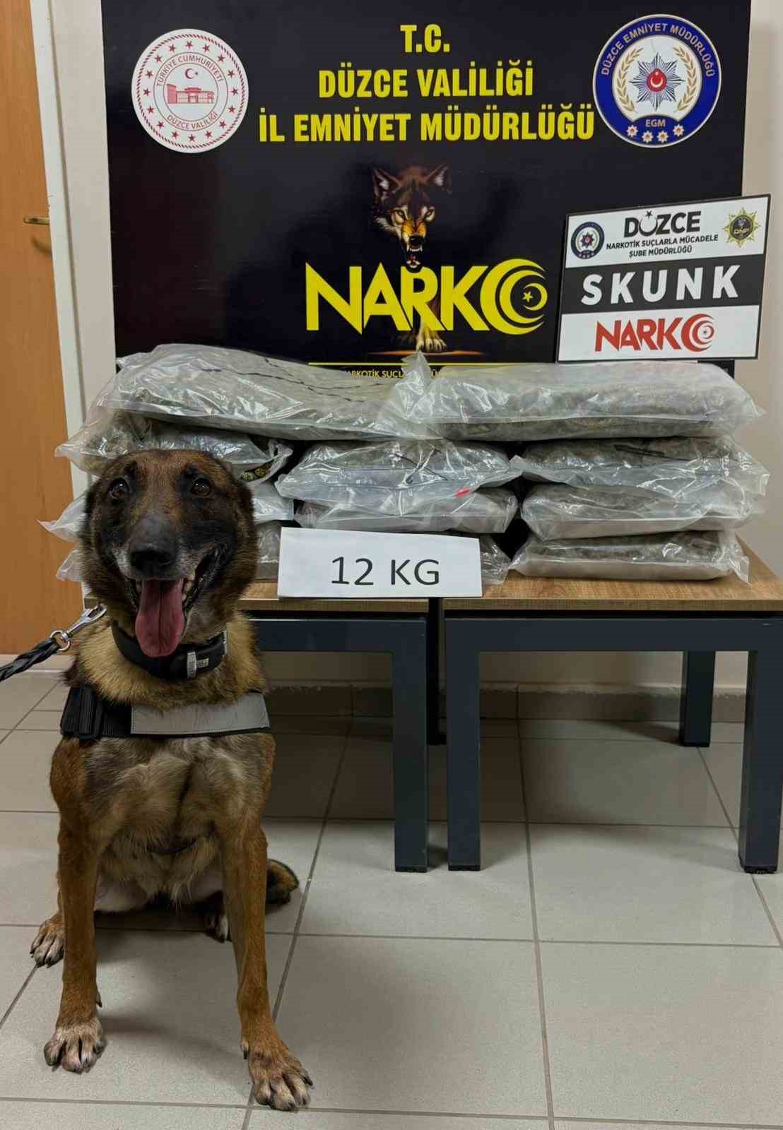 İstanbul’dan Ankara’ya uyuşturucu götürüyordu, Düzce’de yakalandı