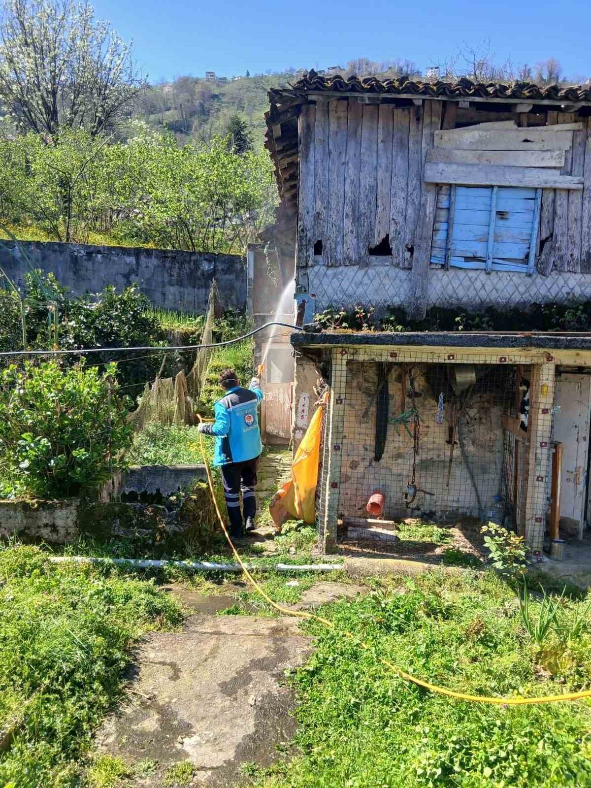 Trabzon&rsquo;da kokarca ile m&uuml;cadele s&uuml;r&uuml;yor

