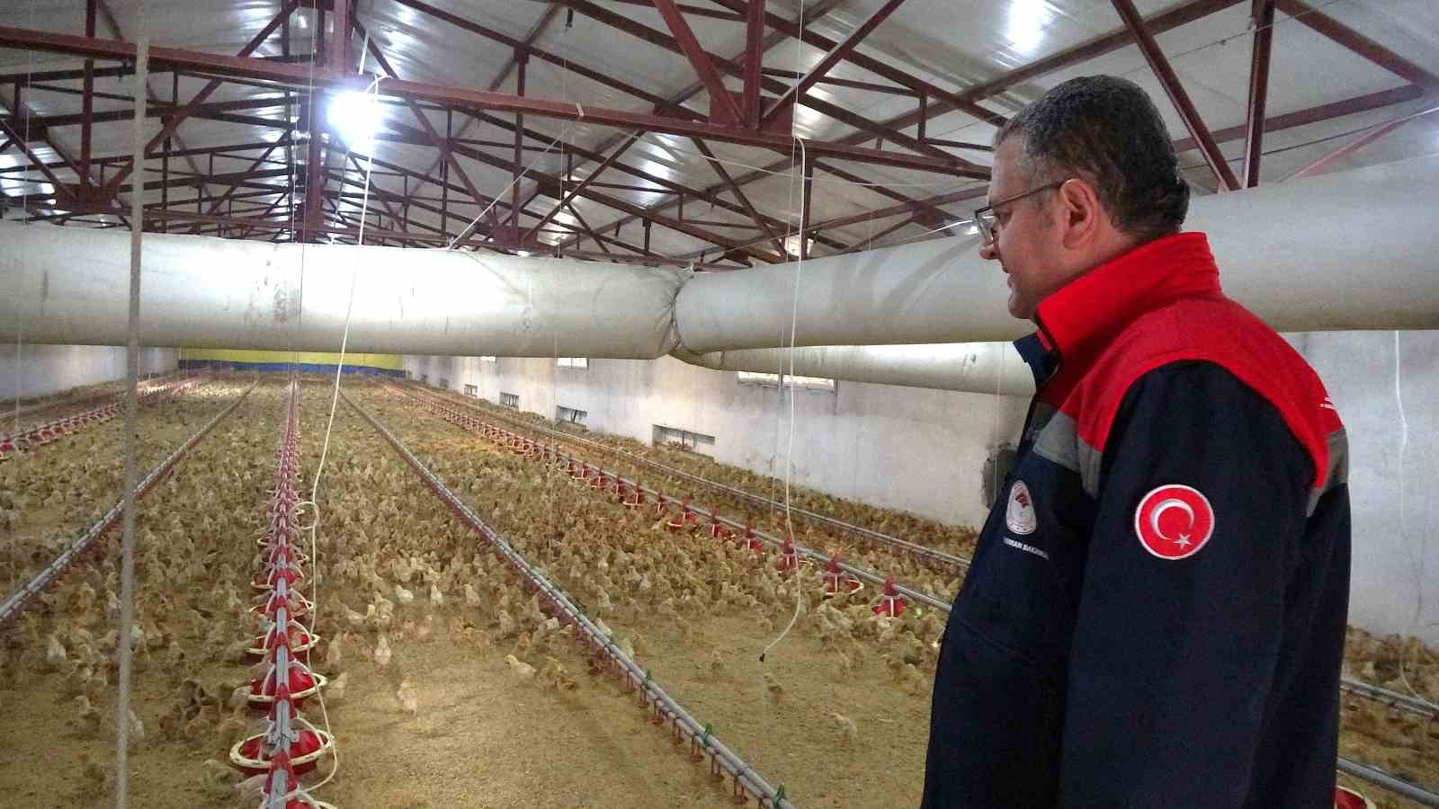 Bafra’da organik hayvancılığa yerinde inceleme