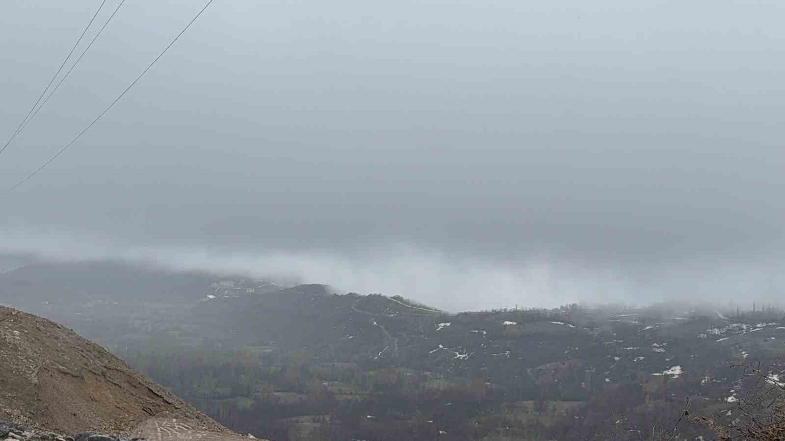 Hizan’da yoğun sis