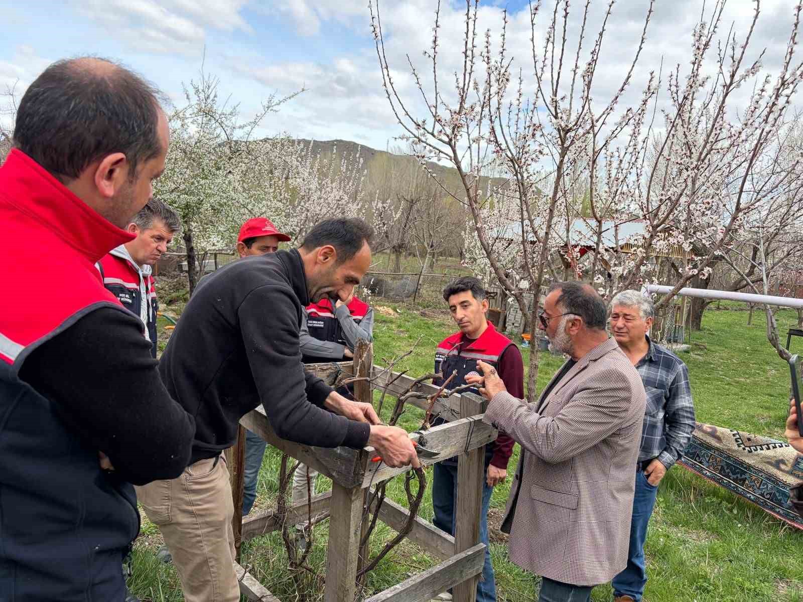 Kağızman’da meyvecilikte eğitim seferberliği sürüyor
