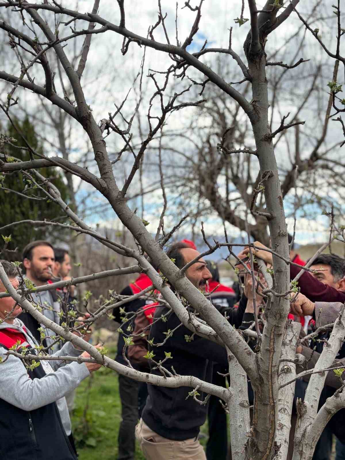 Kağızman’da meyvecilikte eğitim seferberliği sürüyor