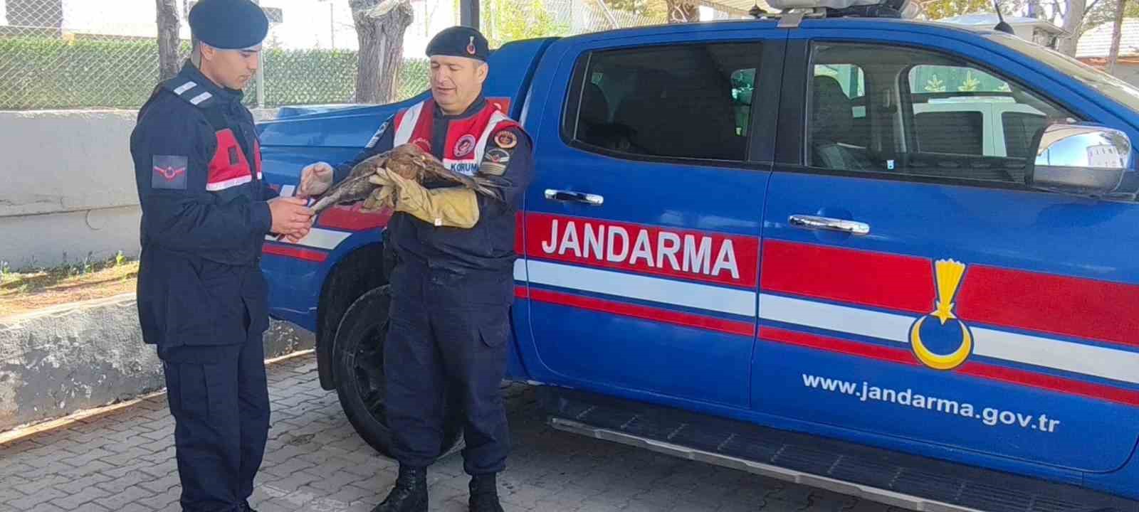 Yozgat&rsquo;ta yaralı şahin koruma altına alındı
