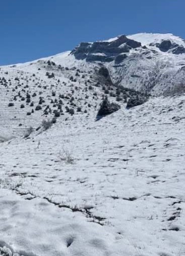 Halkapınar&rsquo;da nisan ayında kar s&uuml;rprizi
