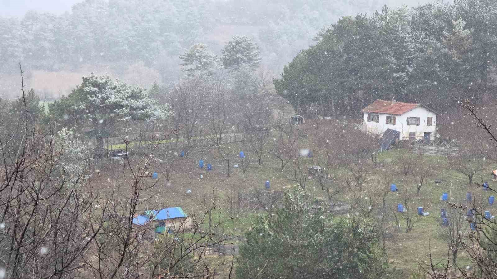 Kütahya’da nisan karı üreticileri endişelendirdi