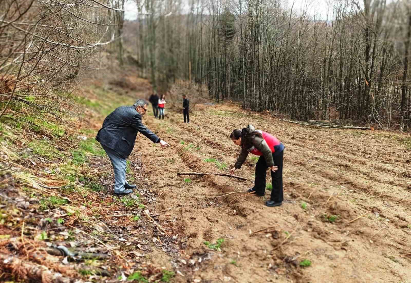 Kütahya’da yüzde 75 hibeli ahududu bahçelerinde kontroller gerçekleştirildi