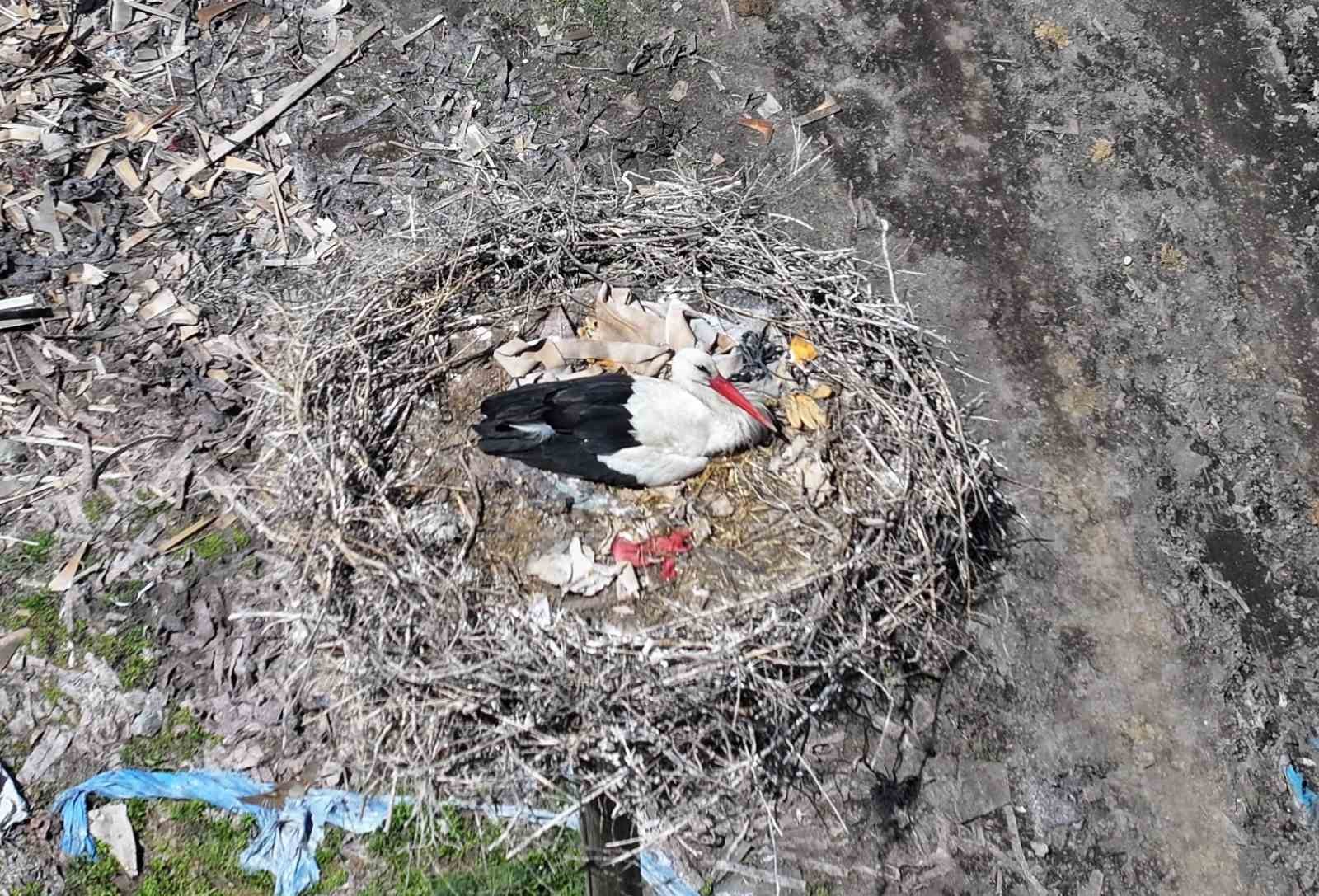 Doğanın uyanışı, Hürmetçi Sazlığı’nda sahneleniyor